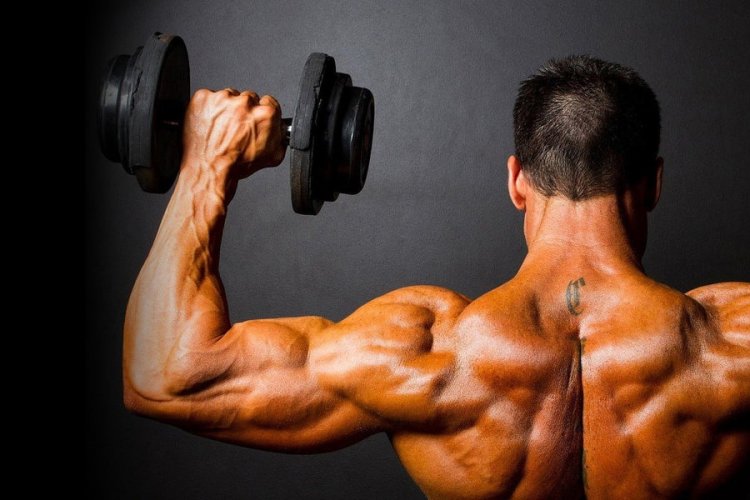 MEN: Here is How you can Easily Grow Muscles First at Home.