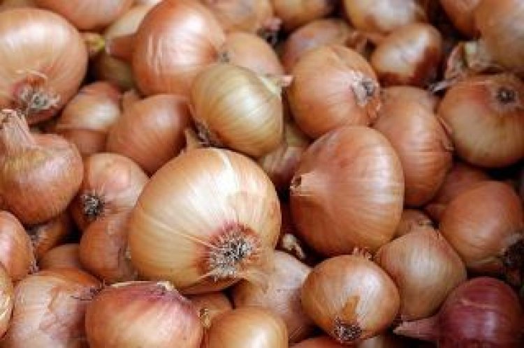 Disadvantages of Onions if you're Struggling with these Health Conditions