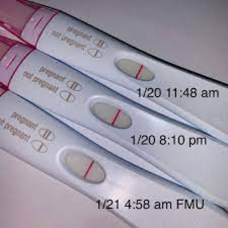 Pregnancy Test waiting period