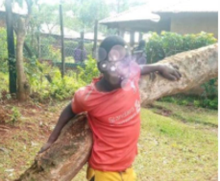 PHOTOS: Man Nailed On a tree for Stealing A radio in Vihiga County