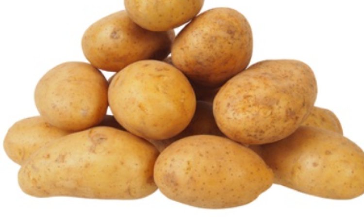 Fertilizer Subsidy Project To Potato Farmers
