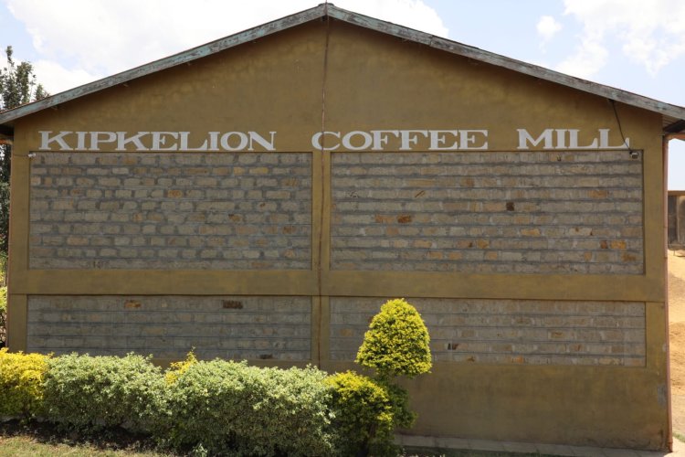 Kipkelion Coffee Farmers  Smile Their Way To The Bank After Receiving Ksh. 105.1 Million