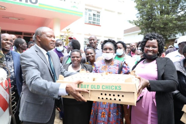 Boost to Kericho Farmers As They Receive Inputs worth 37 Million From (KCSAP)