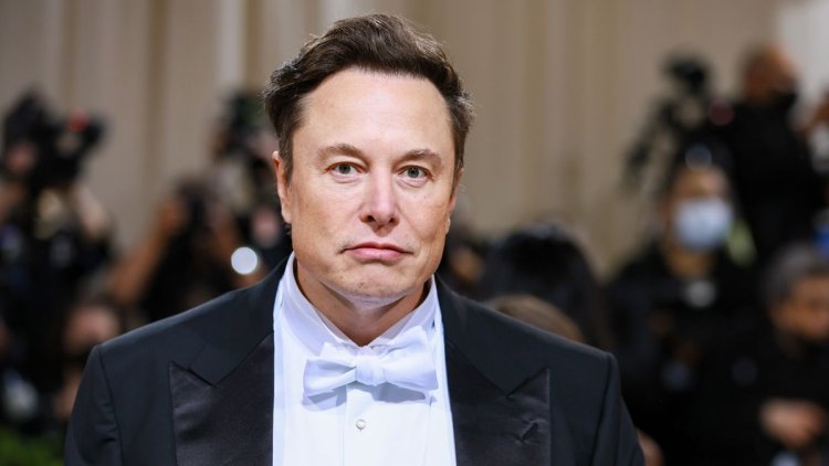 Elon Musk Sued by Twitter Investor over Takeover Bid
