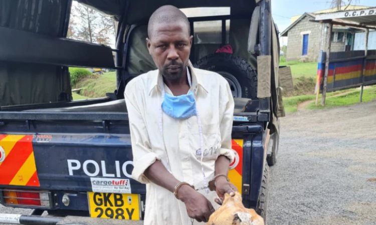 Man In Nyandarua Arrested For Allegedly Selling  Dog Meat