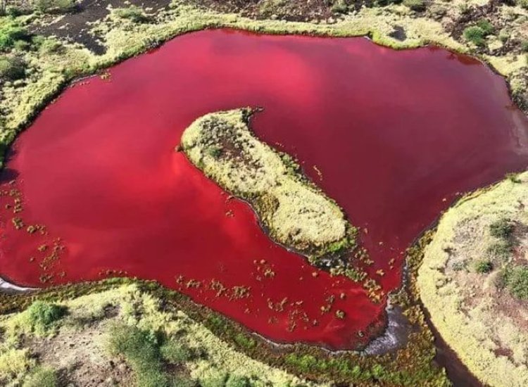 Here is a Blood Red Alkaline Lake Found in Kapedo, Turkana County