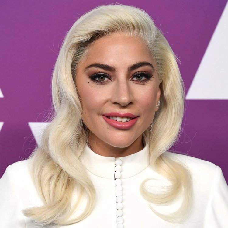 Man Sent to 4 years Jail Imprisonment for Shooting Lady gaga`s Dog