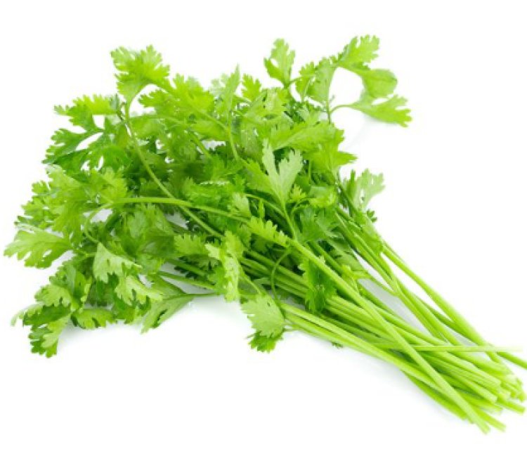 5 Amazing Coriander Substitutes to Use in Cooking