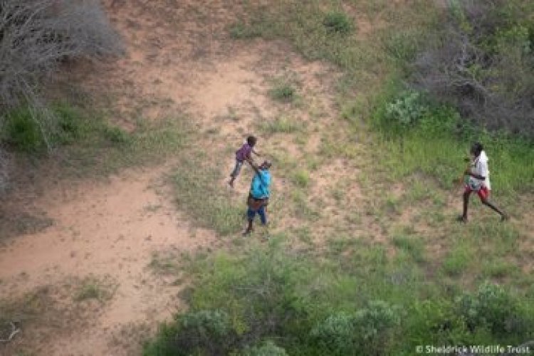 Boy, 4, Who Survived in Tsavo Wilderness for 6 Days to Get Education Sponsorship